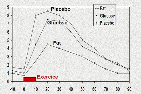 Les réponses des hormones anabolisantes lors d’effort de musculation
