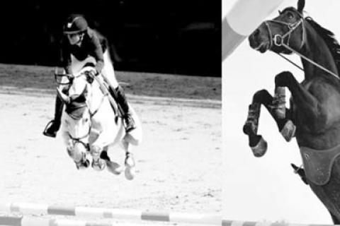 CONTRAINTE CARDIOVASCULAIRES POUR LE CAVALIER