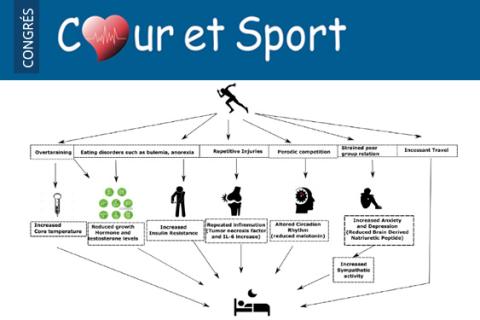 Les facteurs de risque cardiovasculaires a ne pas négliger 