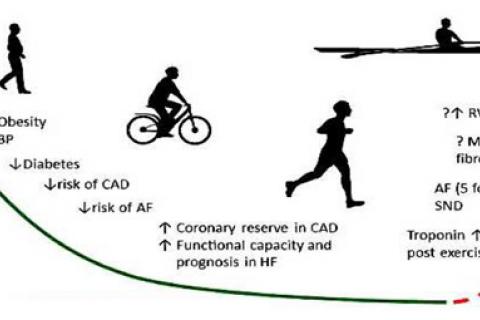 FAUT-IL LIMITER L’ACTIVITÉ PHYSIQUE ?
