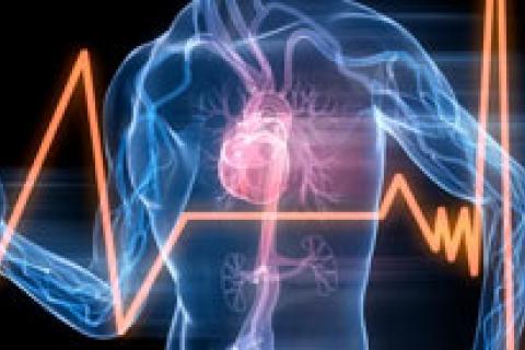 MALADIES CARDIOVASCULAIRES ET ACTIVITÉS PHYSIQUES 