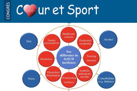 Le sport au féminin