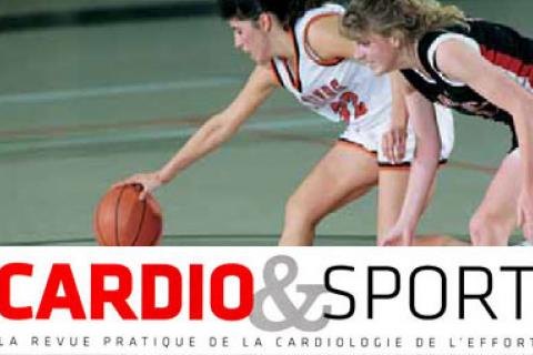 SPORTIVES DE HAUT NIVEAU EN SPORTS COLLECTIFS